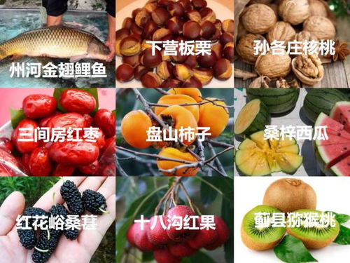 薊州風味 農(nóng)副產(chǎn)品零食的質(zhì)樸與創(chuàng)新
